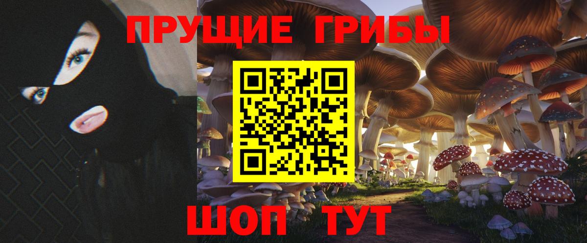 Галлюциногенные грибы Cubensis Изобильный