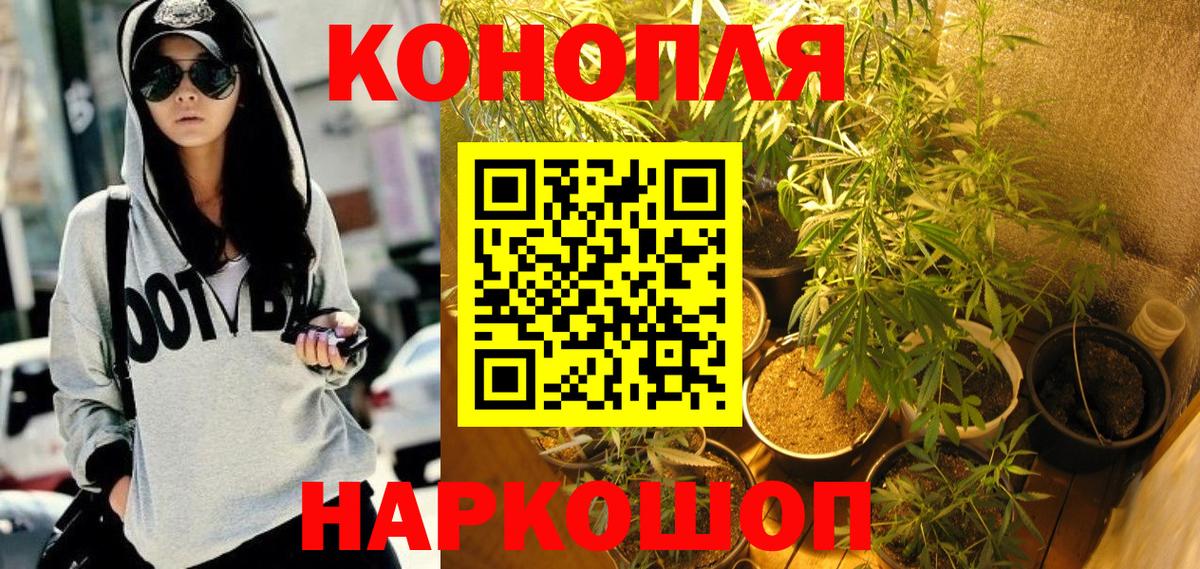 Бошки марихуана Bruce Banner Изобильный